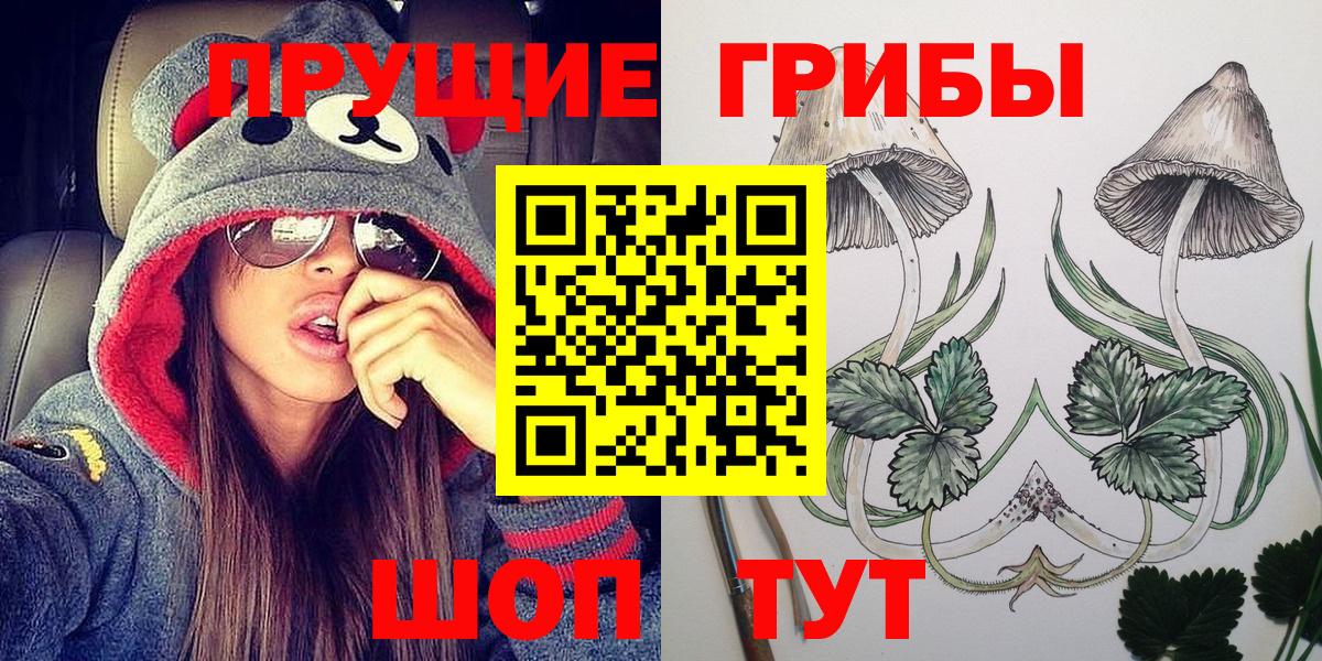 Галлюциногенные грибы мицелий Россия